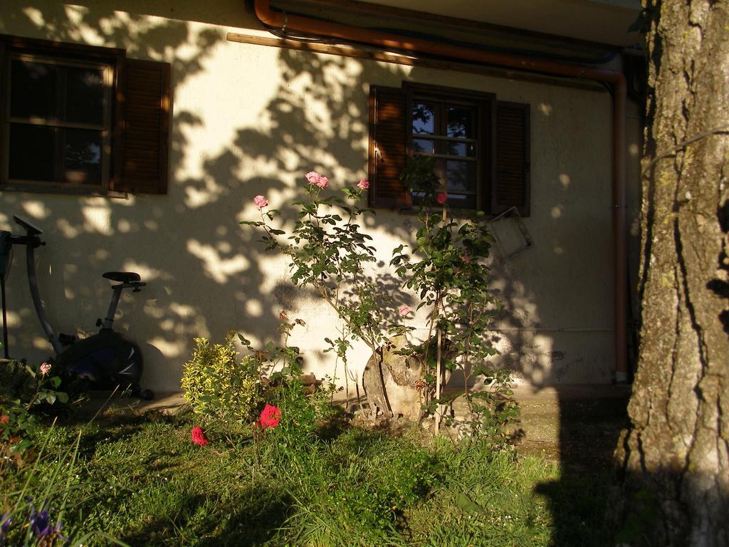 Bed And Breakfast Casale Isorella San Gemini Eksteriør bilde