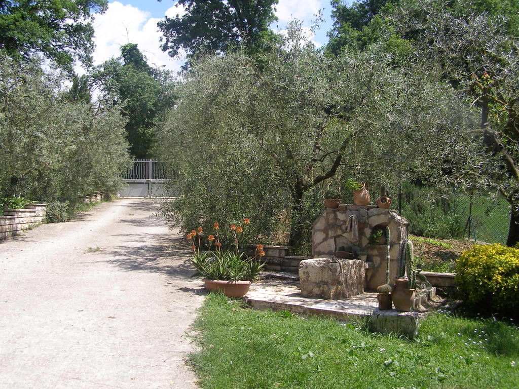 Bed And Breakfast Casale Isorella San Gemini Eksteriør bilde