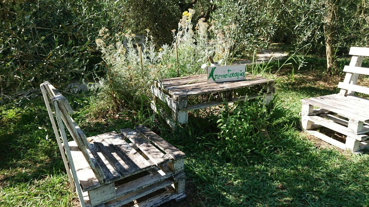 Bed And Breakfast Casale Isorella San Gemini Eksteriør bilde